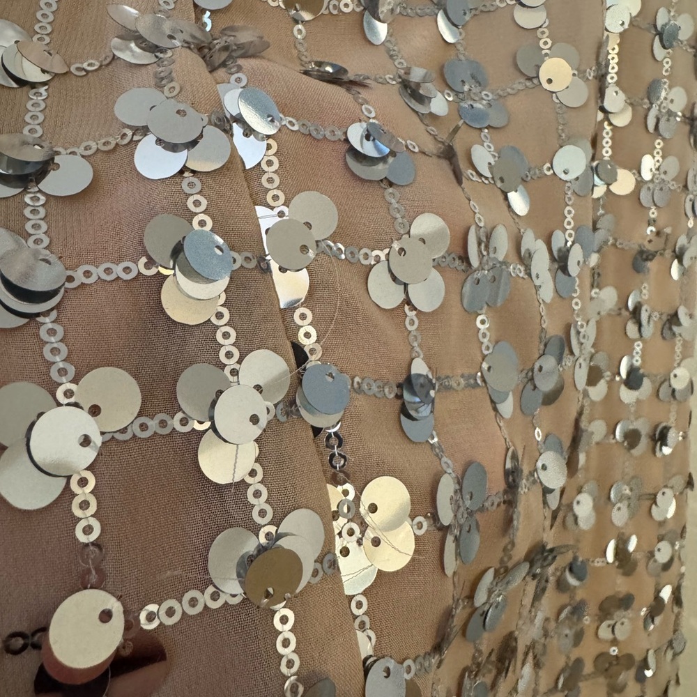 Zara Silver Sequin Beige Square Neck Mini Dress- Small - Picture 7 of 16